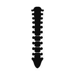 Stowarzyszenie Fizjoterapii Ortopedycznej i Sportowej